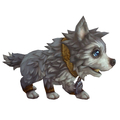 Frostwolf Pup