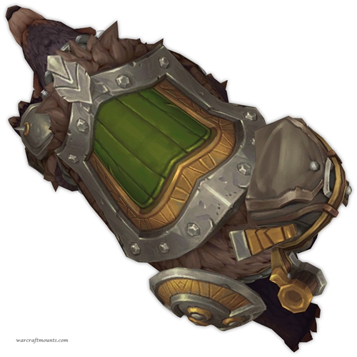 Veteran Adventurer's Loyal Companion