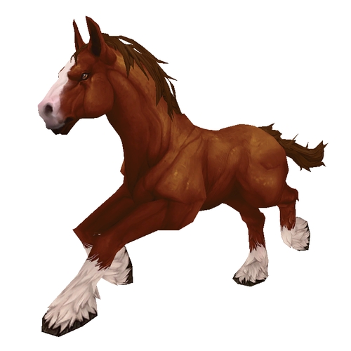 Unsaddled Dark Chestnut Horse