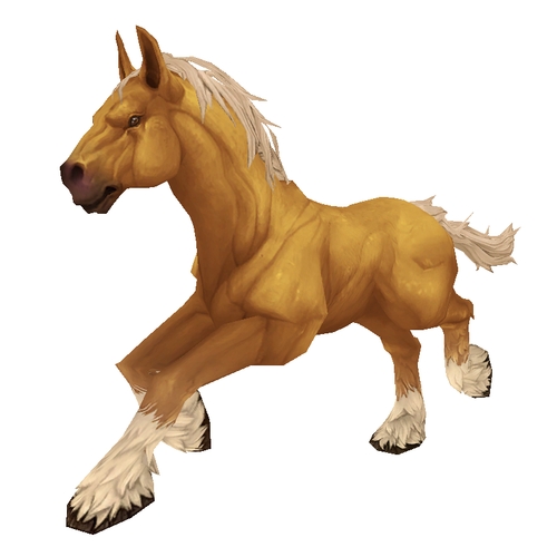 Unsaddled Palomino Horse