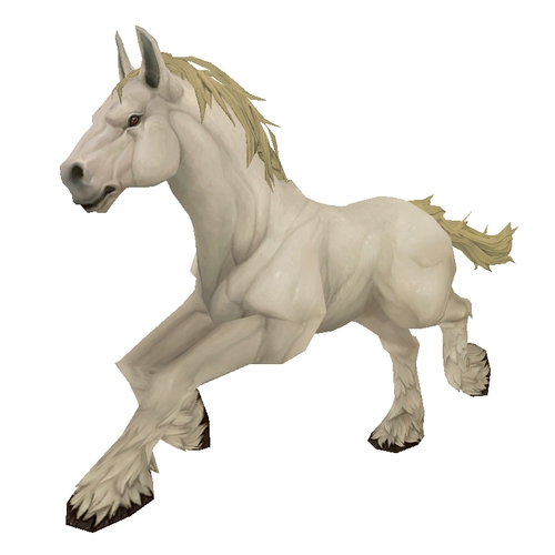 Unsaddled White Horse