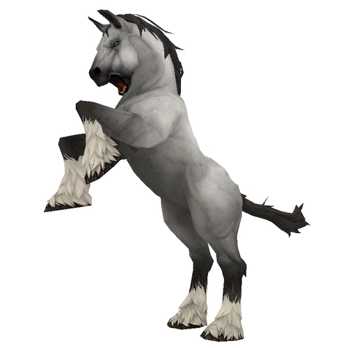 Unsaddled Grey Horse