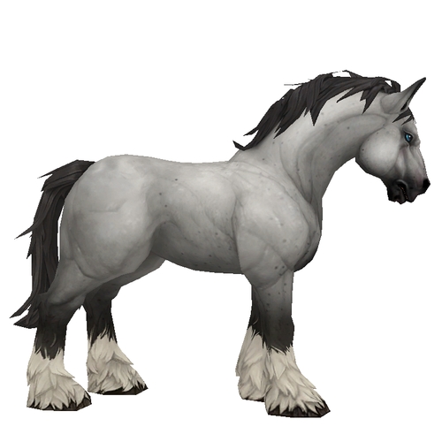 Unsaddled Grey Horse