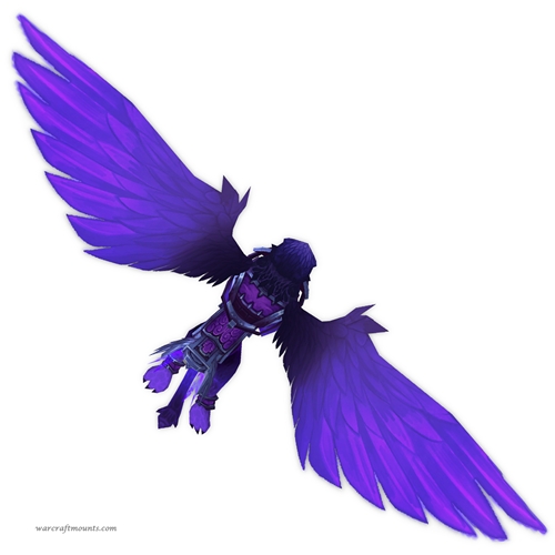 High Priest's Lightsworn Seeker