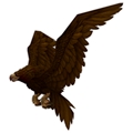 Dark Brown Eagle