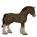 Unsaddled Dark Bay Horse