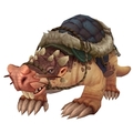 Orange Mole Mount