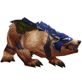 Armored Brown Bear [Alliance]