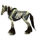 Unsaddled Grey Skeletal Horse
