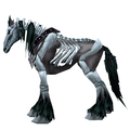 Unsaddled Black Skeletal Horse