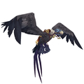 Blue-Grey Vulture